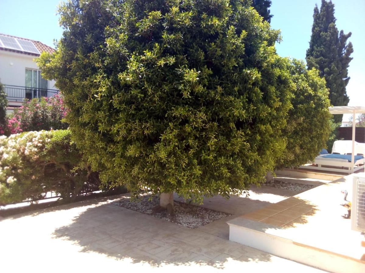 Summer Breeze - Cheerful 2 Bedroom With Pool Pousada Agia Napa