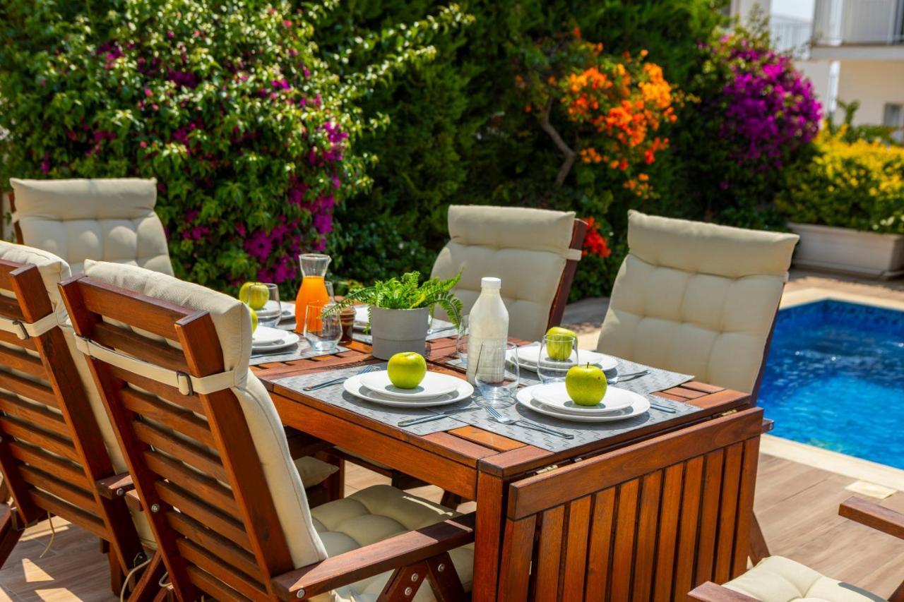 Napa Bay View 8 *