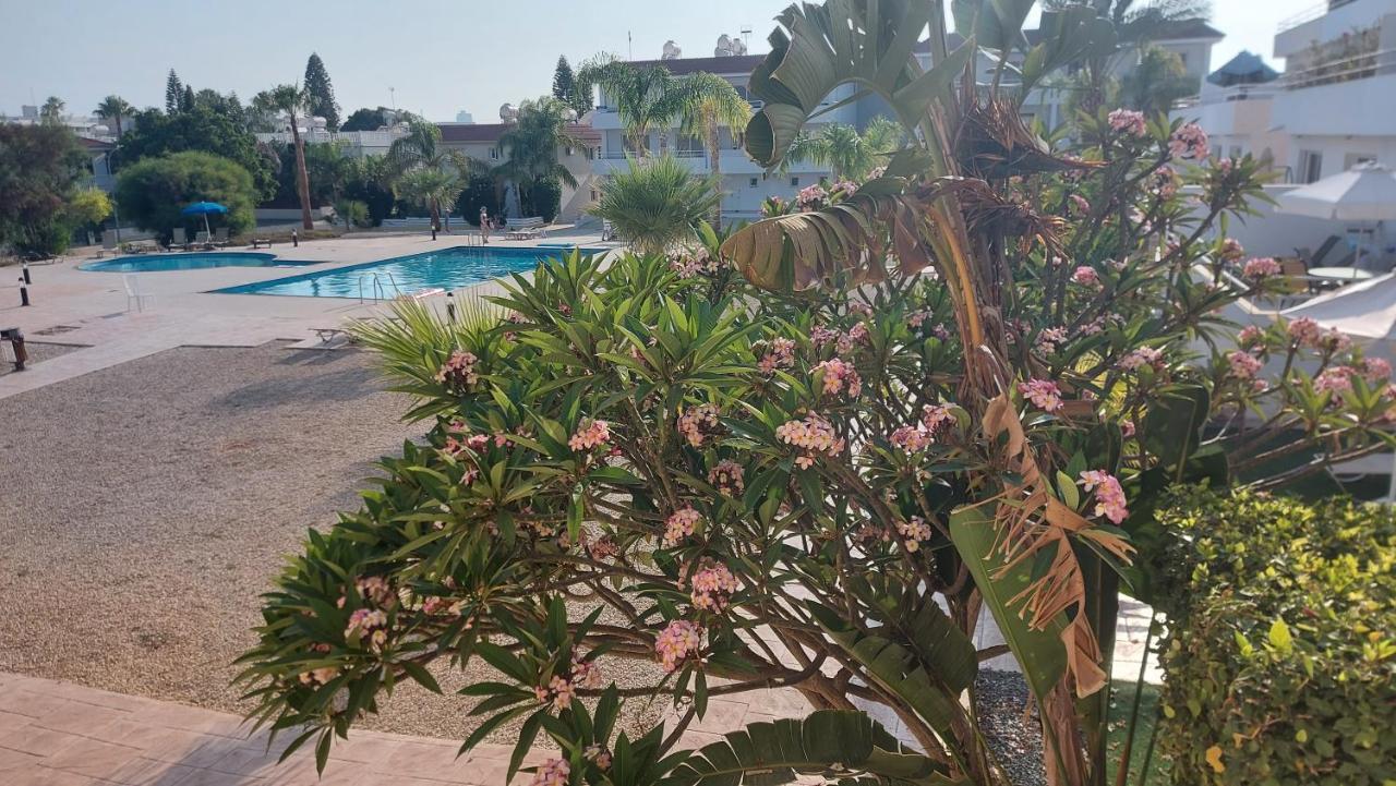 Nissi 3 Pool View Apartment Ayia Napa