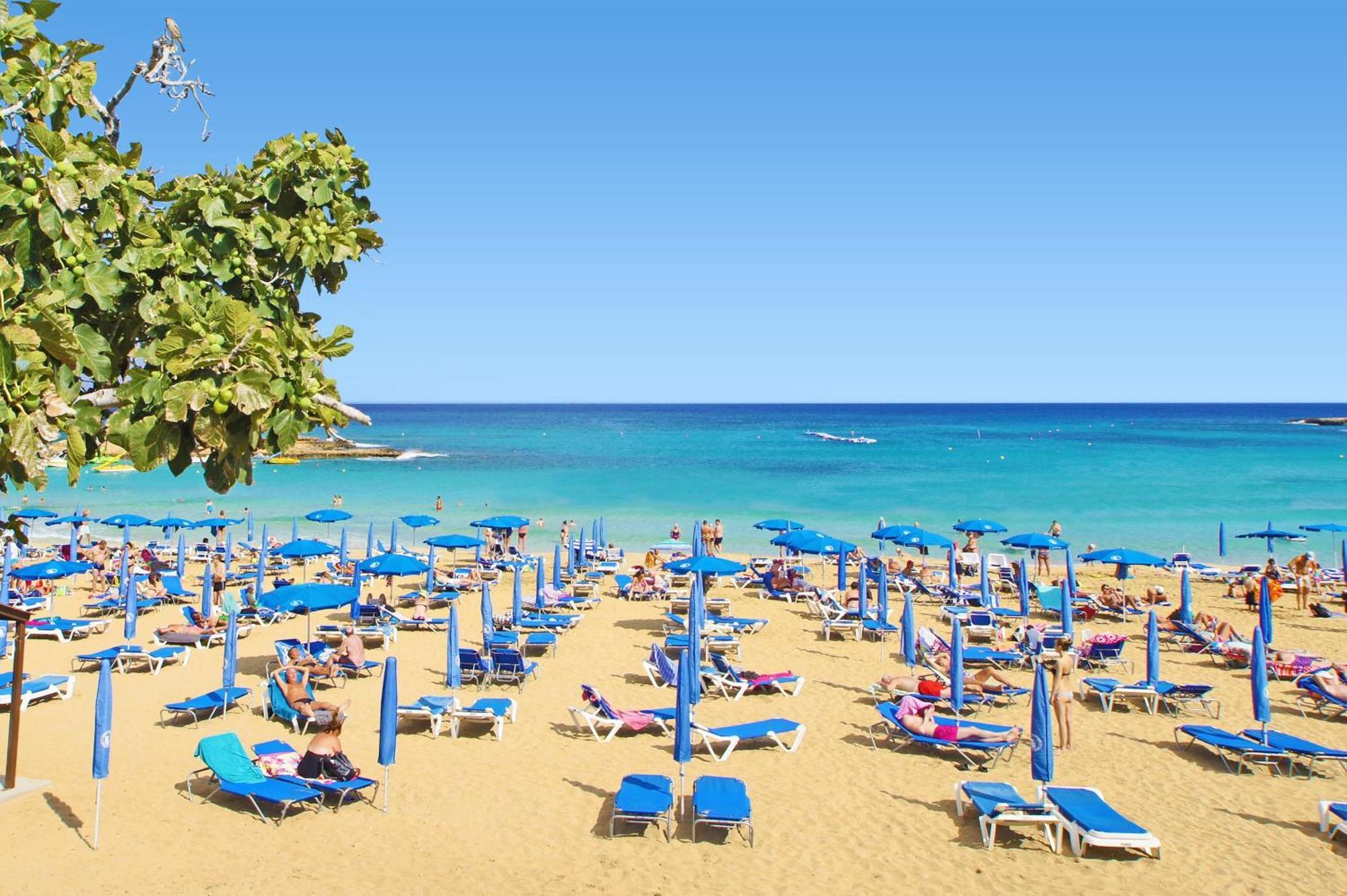 Napa Blu *