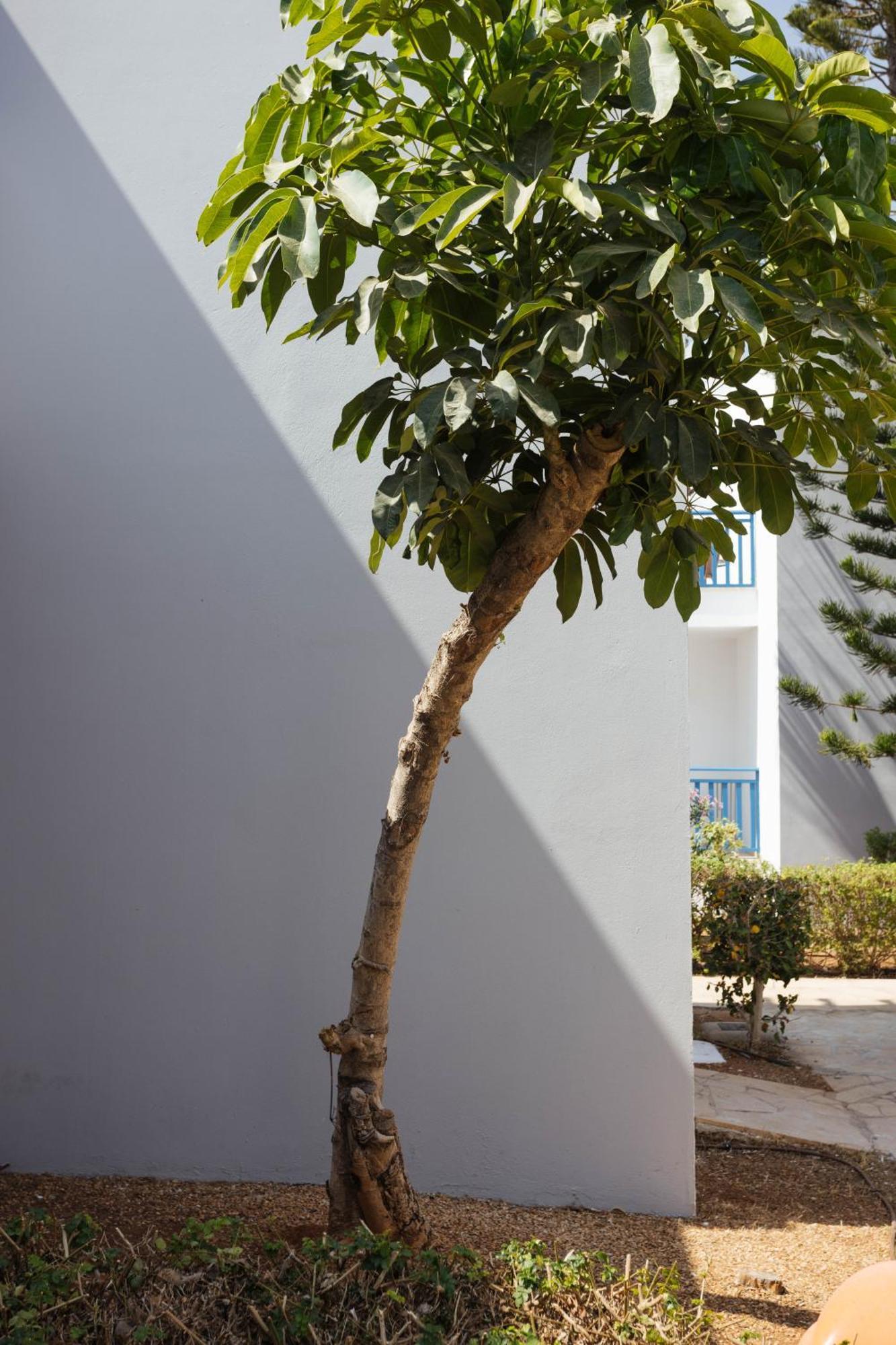 Atlantica Callisto Hotel