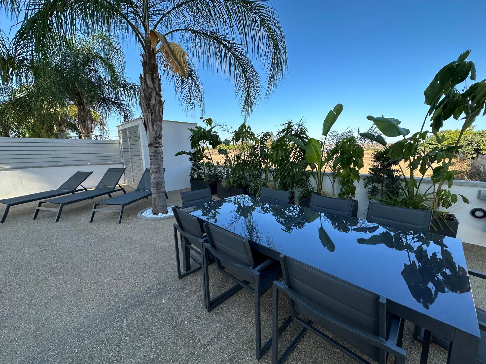 Valerian Palm Villa Agia Napa