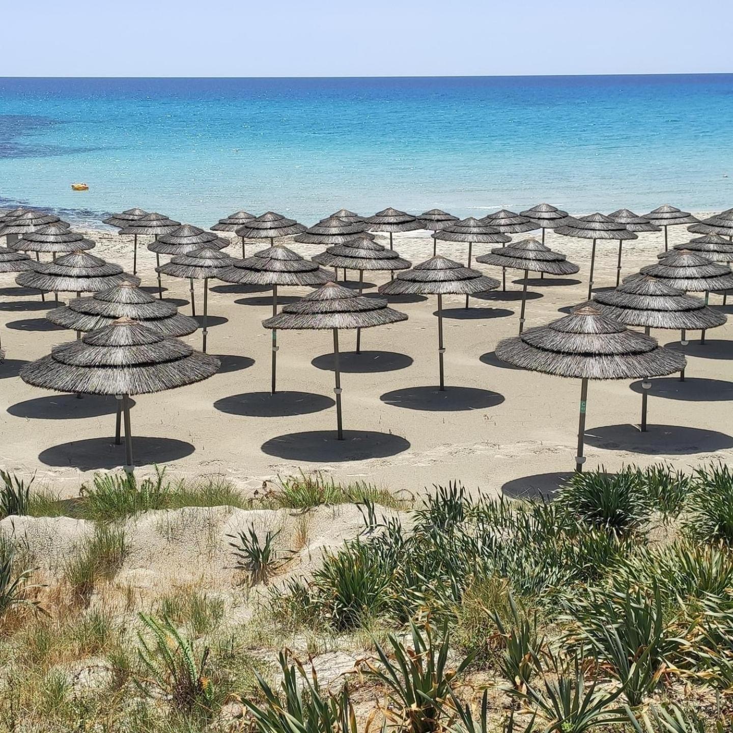 Narcissos 'nissi Beach' E9 Apartment Ayia Napa