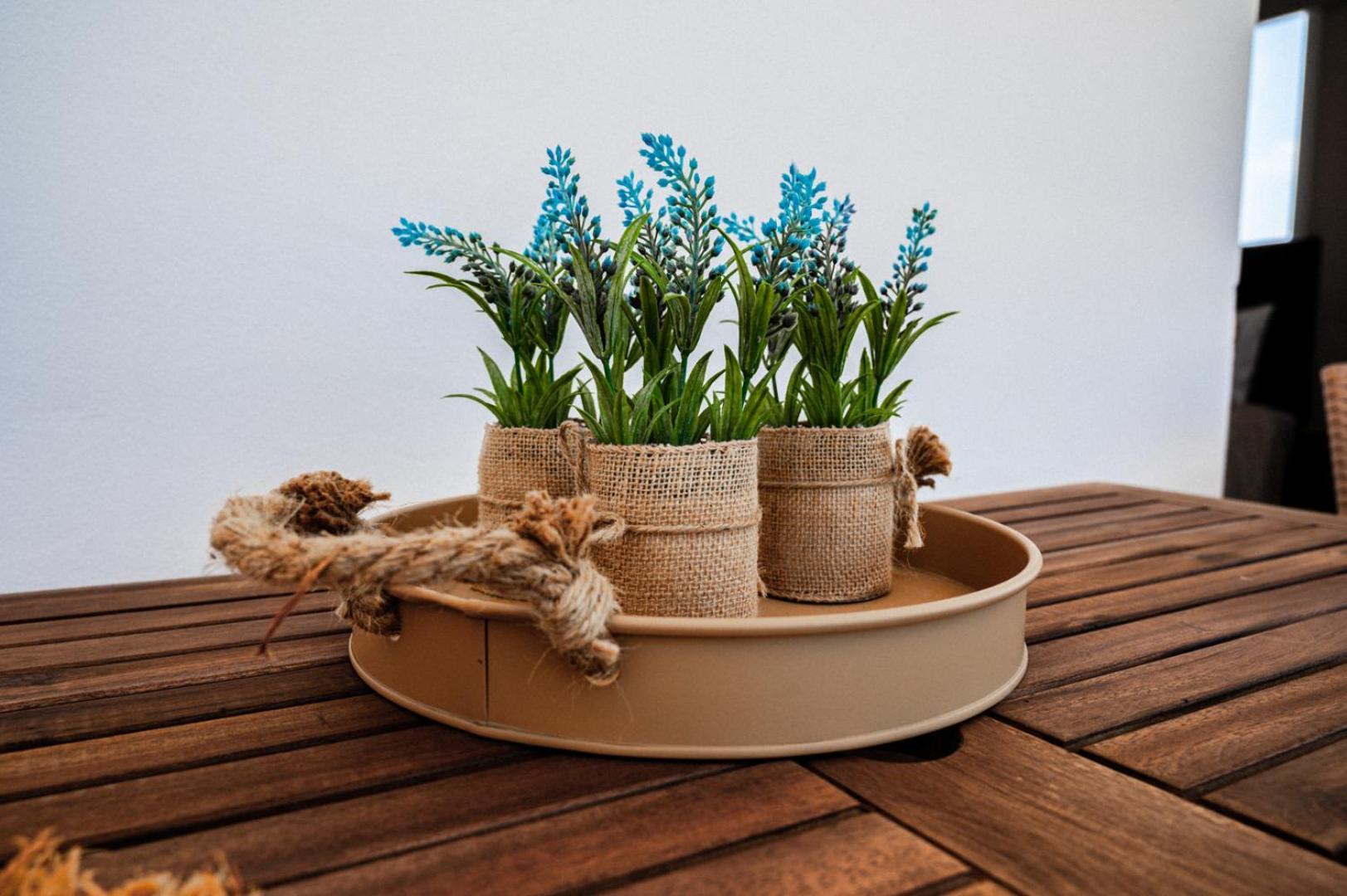 Narcissos 'nissi Beach' E9 Apartment