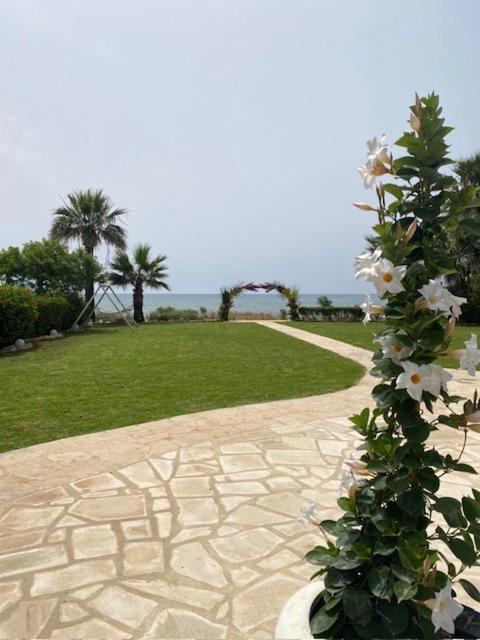 Ionion Beachfront * Ayia Napa