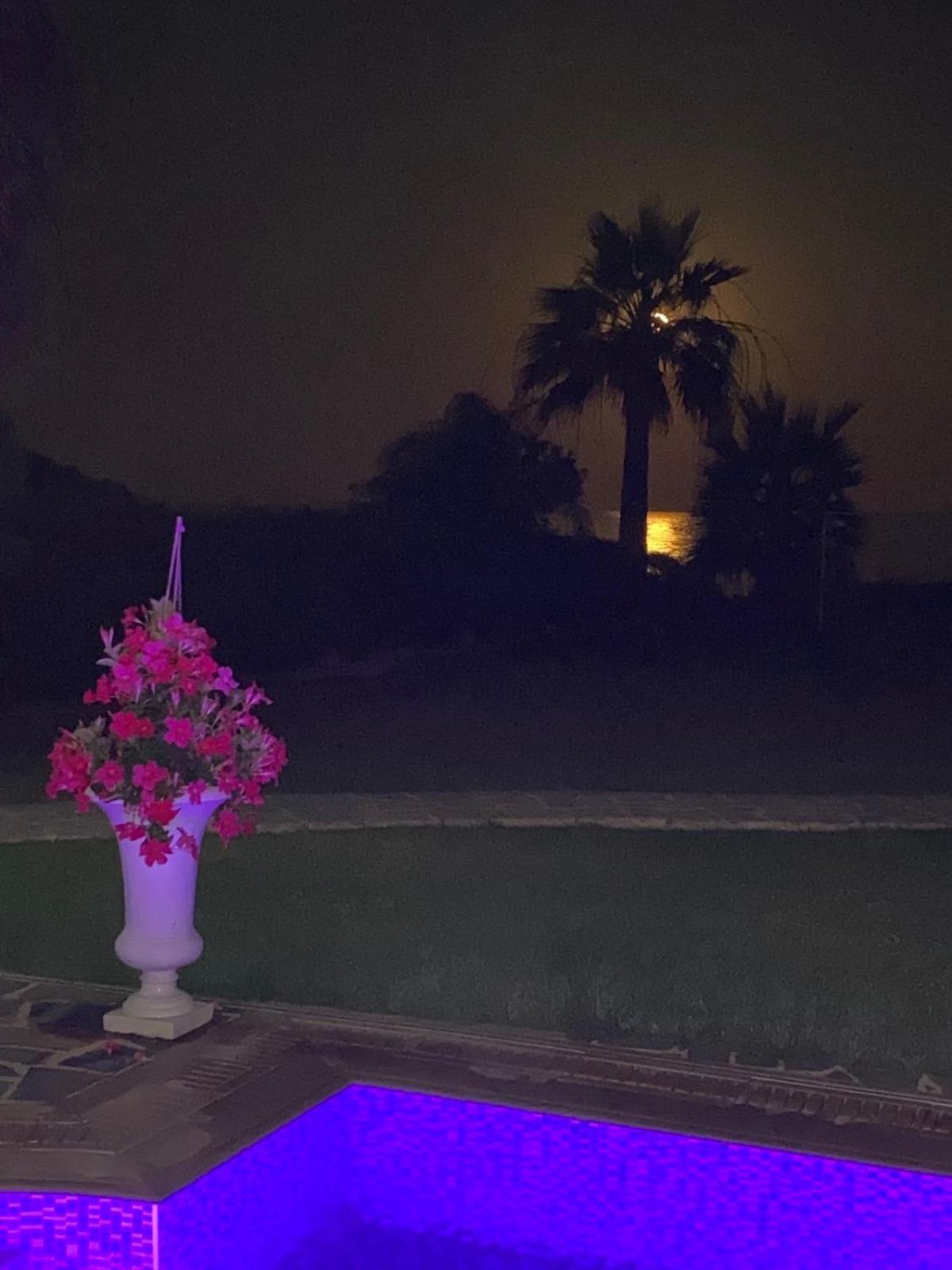 Villa Ionion Beachfront