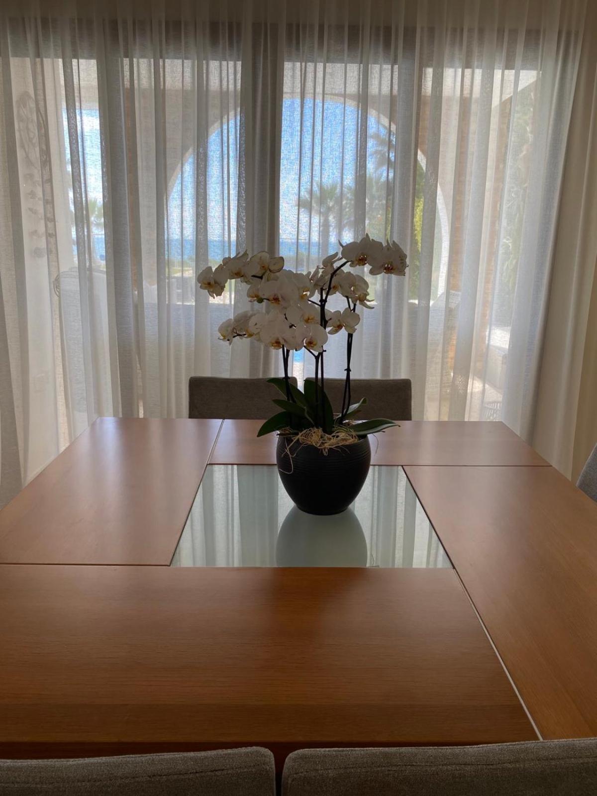 Ionion Beachfront Villa