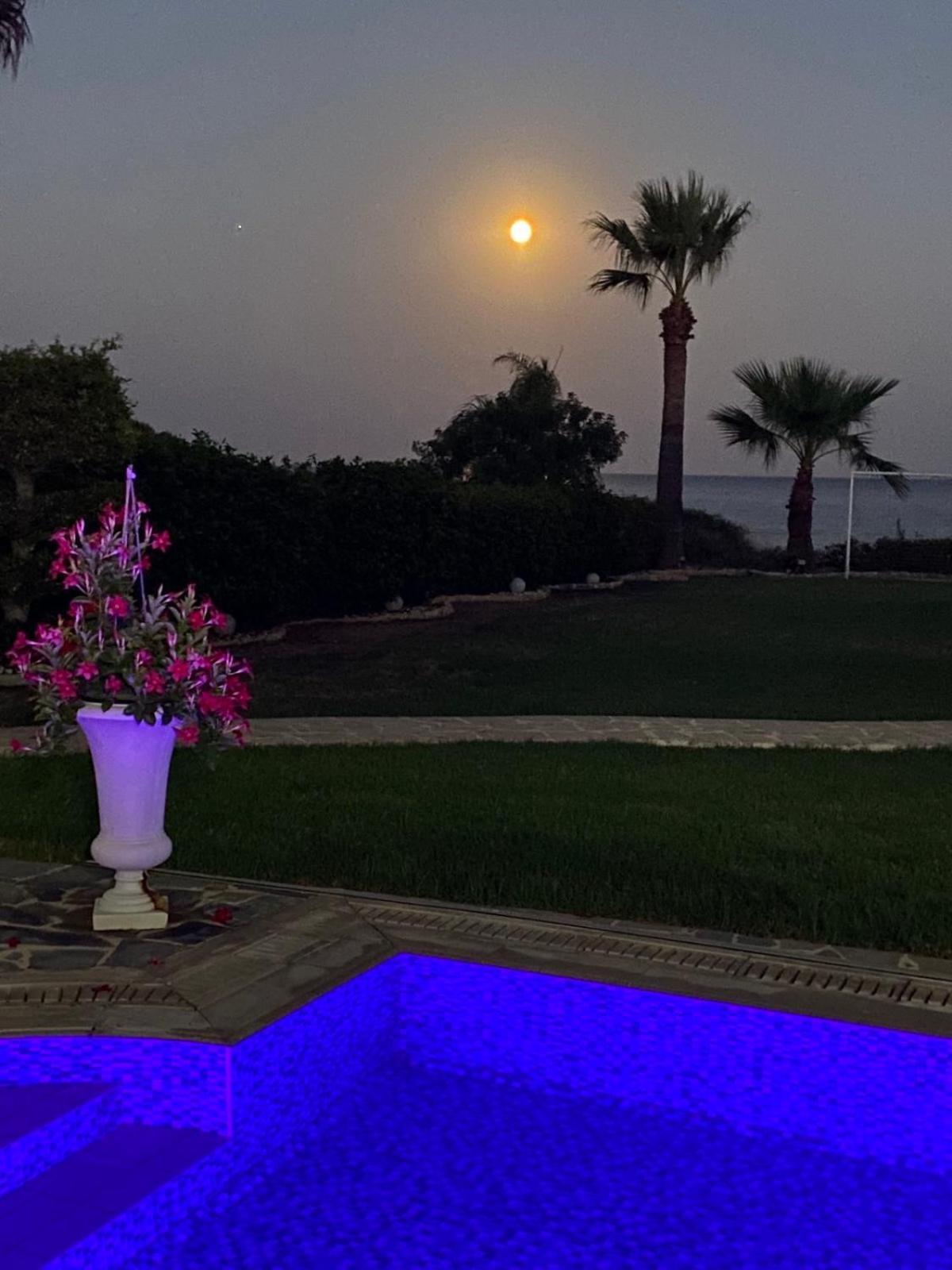 Ionion Beachfront Villa Agia Napa