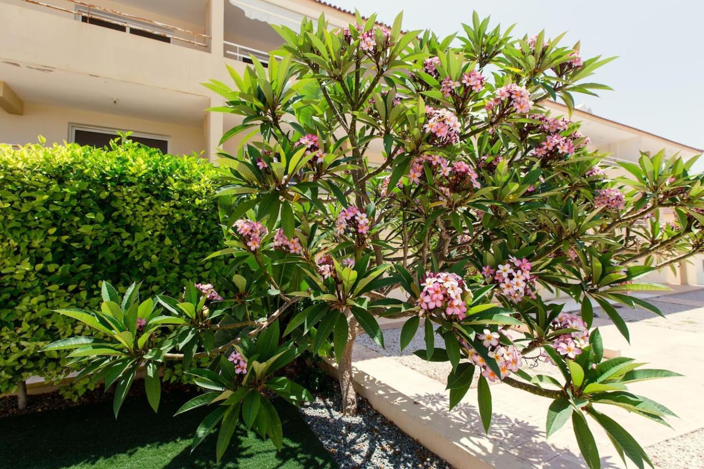 Apartment Nissi 3 Pool View Agia Napa