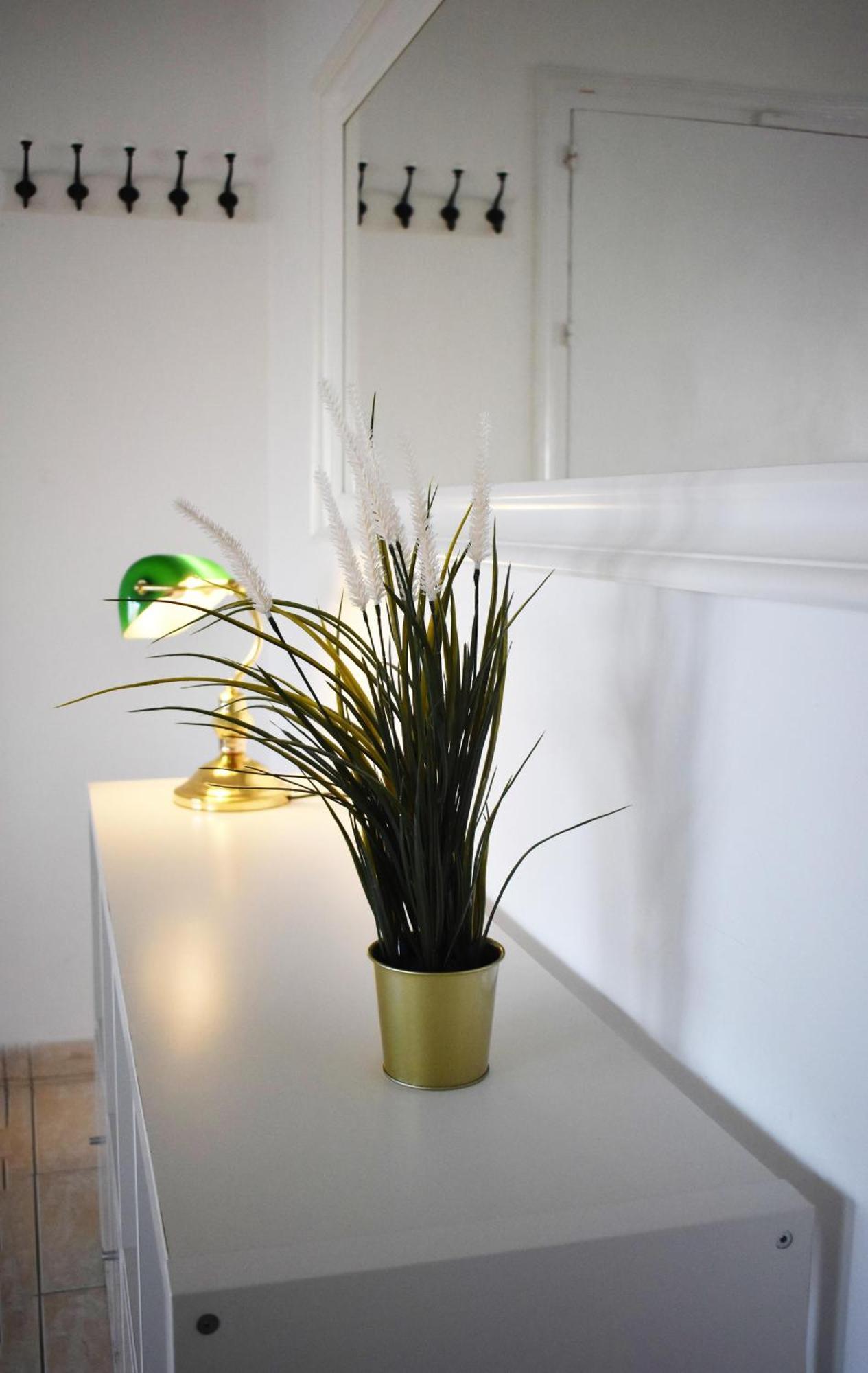 Sunny Rooftop In 91sqm Terrace Delight! Apartment