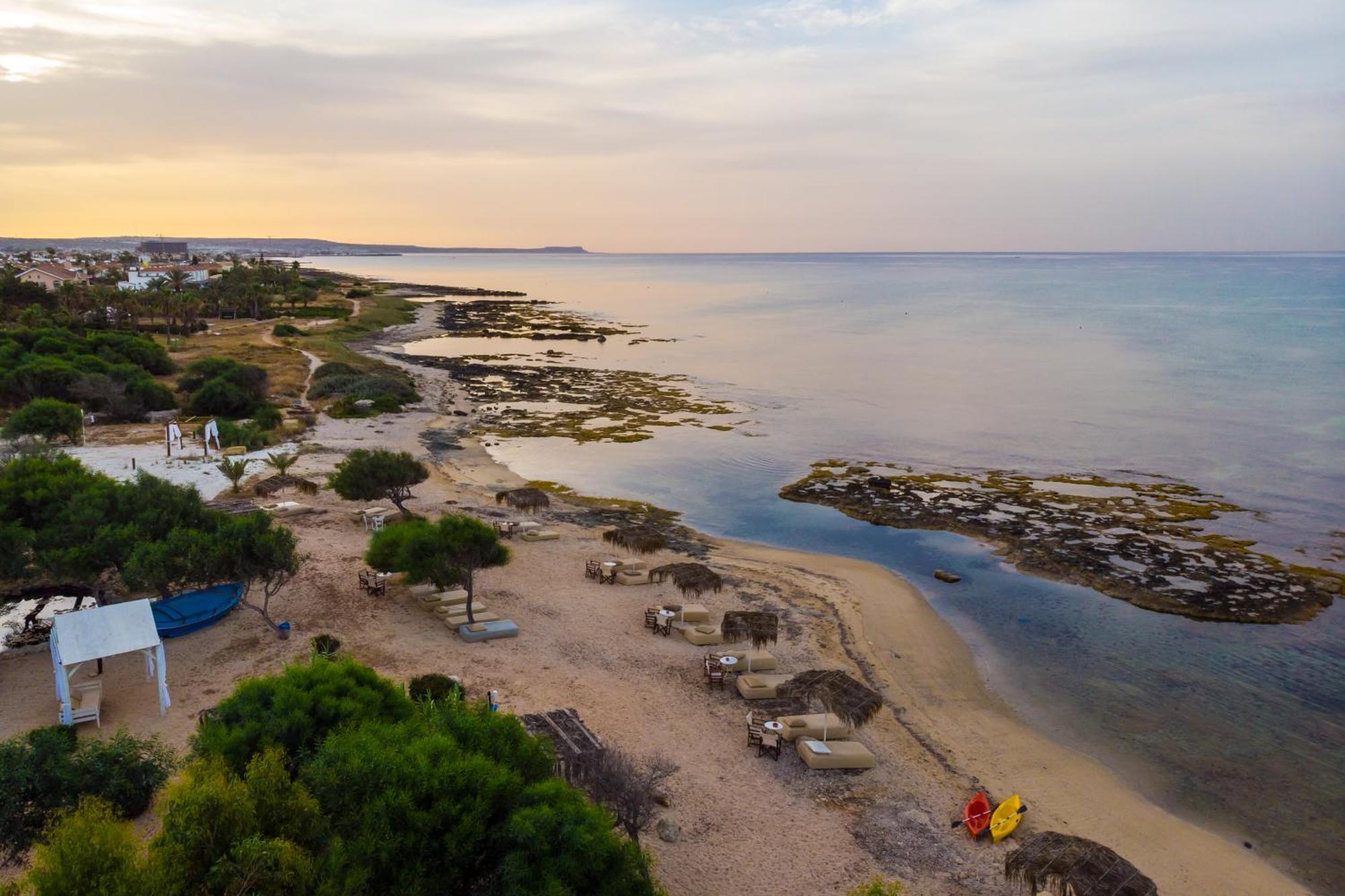 Thalassines
