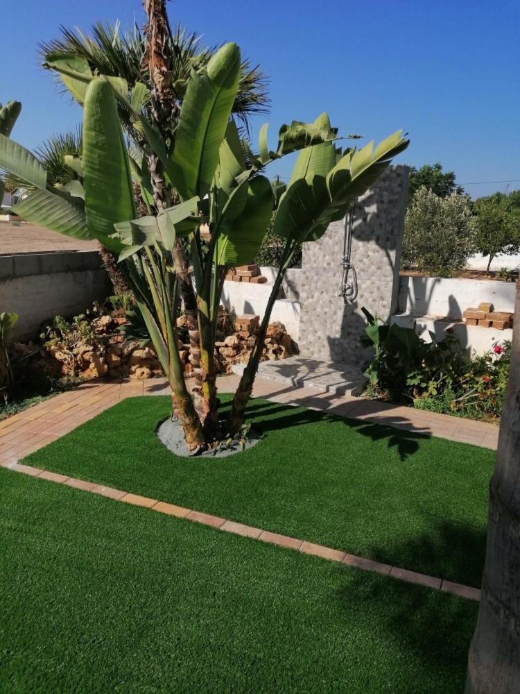 Villa Tropical