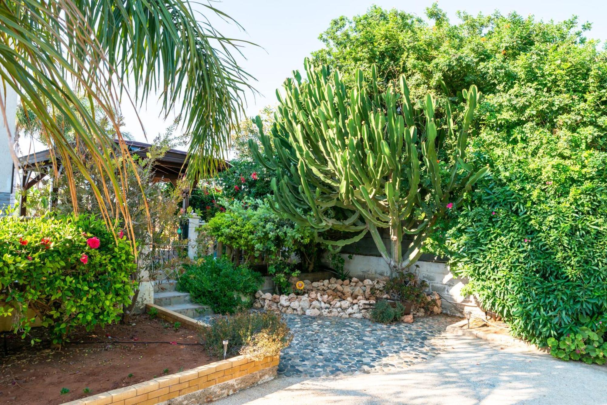 Villa Tropical Ayia Napa