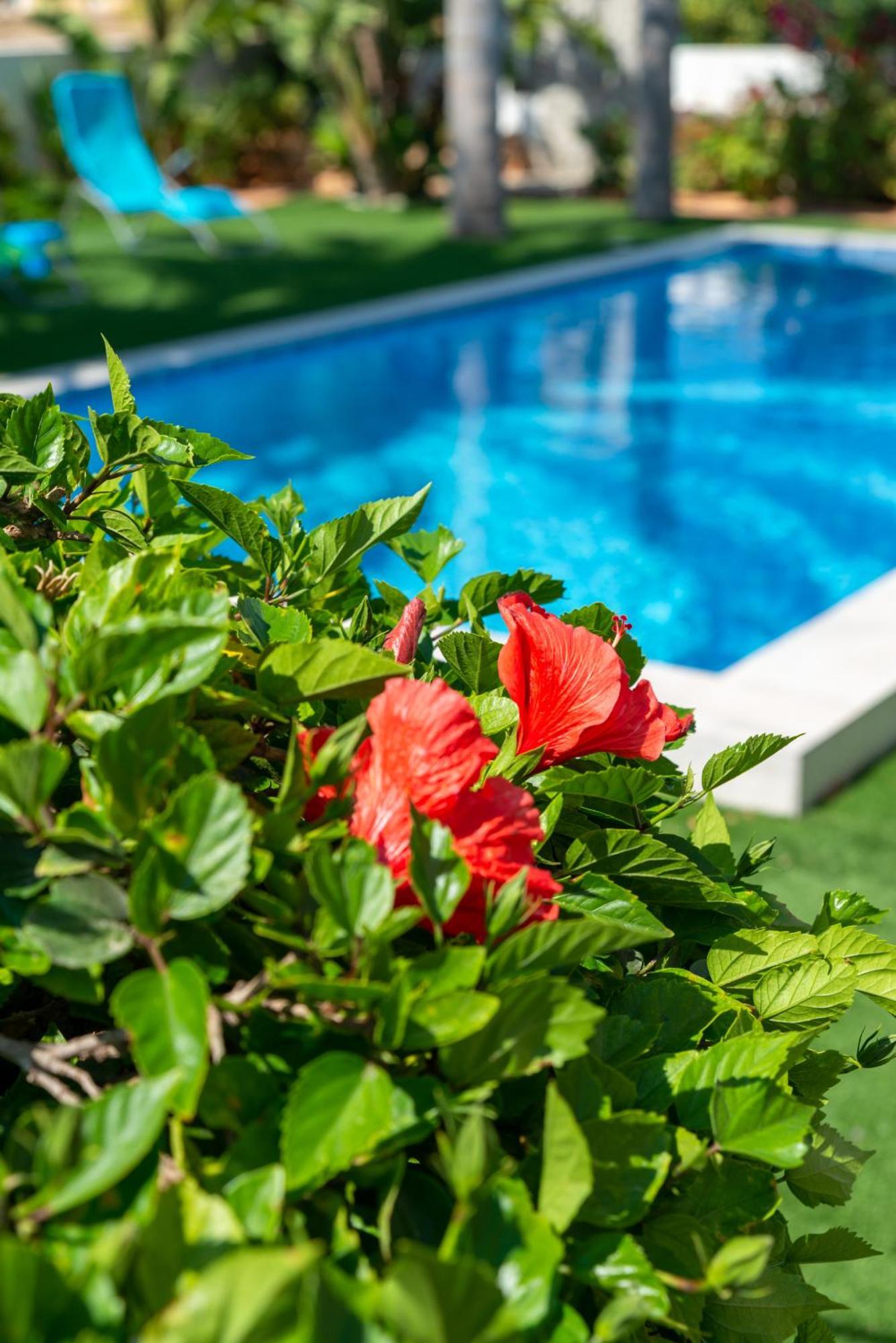Tropical Villa Ayia Napa