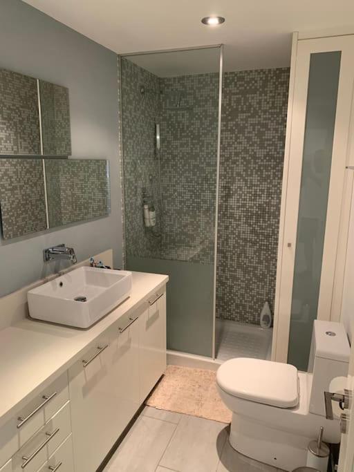 Apartment Three Bedroom Modern Flat