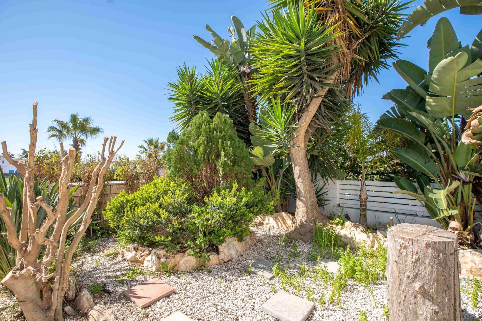 Phaedrus Living: Luxury Oceania