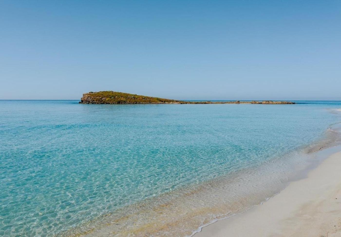 Narcissos Nissi C16 Ayia Napa