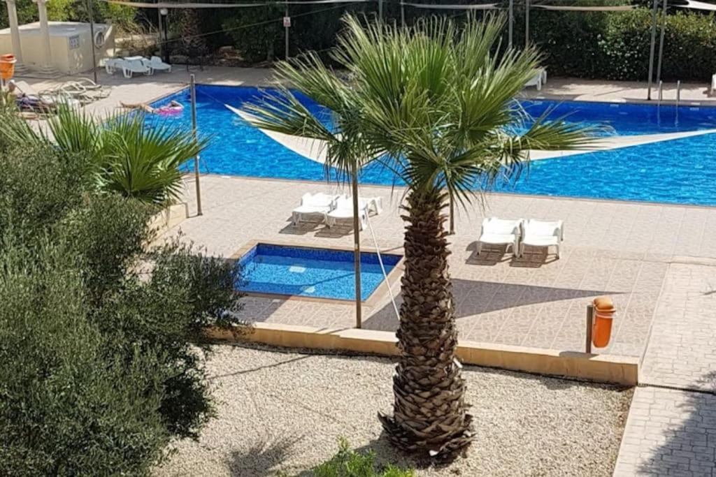 Apartment Nissi 7 Big Veranda And Free Wifi Ayia Napa
