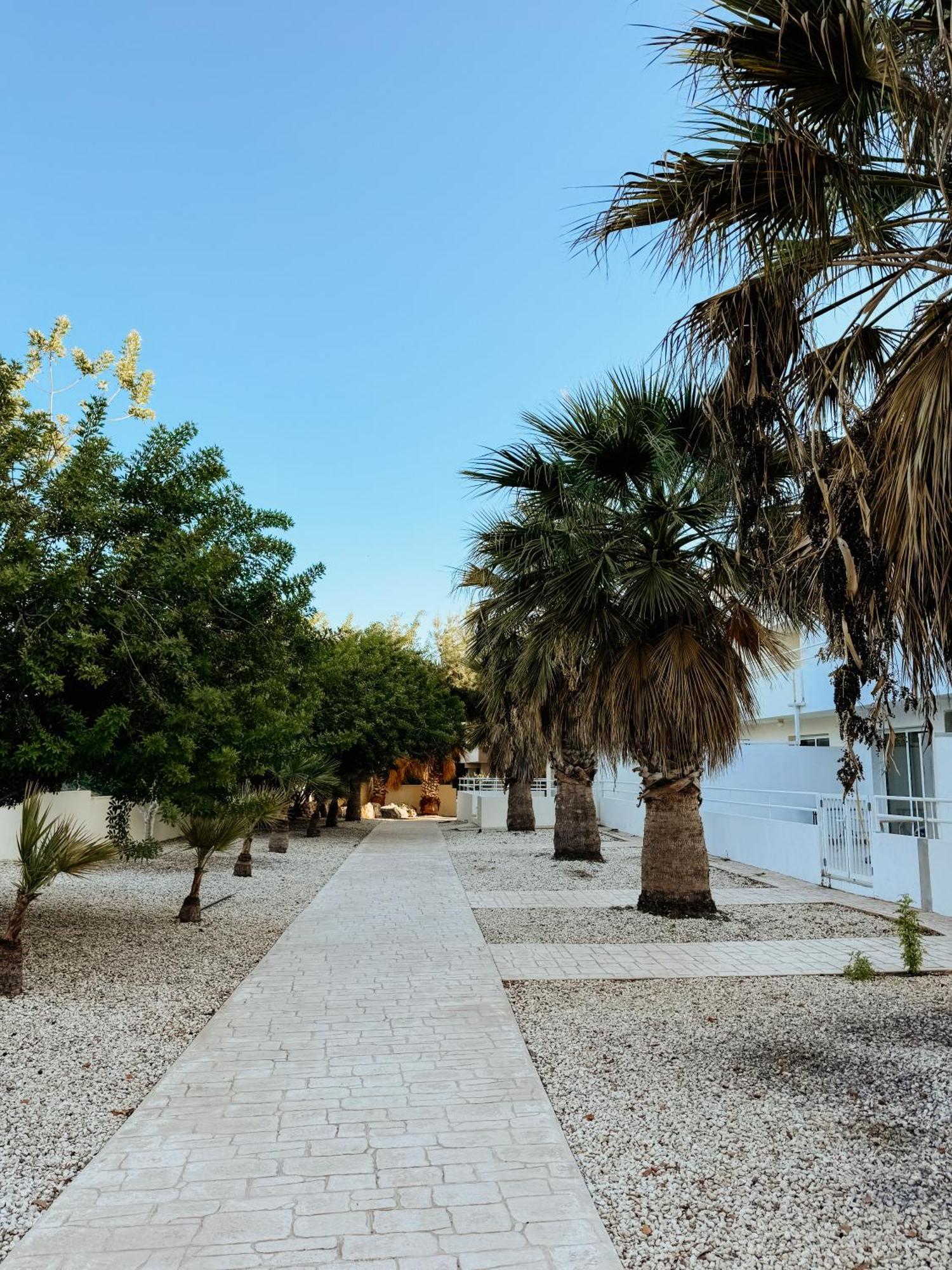 Nissi Si Lux Boho On Nissi * Ayia Napa