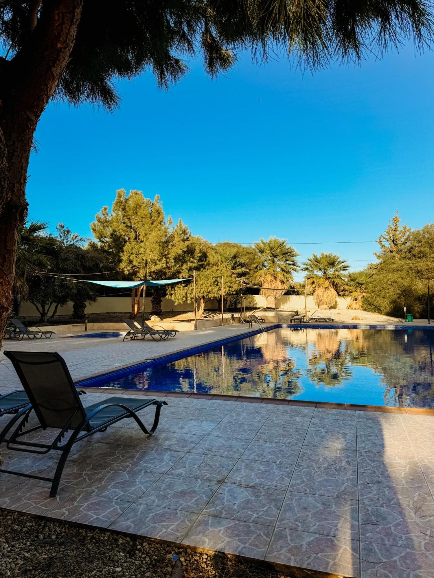 Nissi Si Lux Boho On Nissi Apartment Ayia Napa