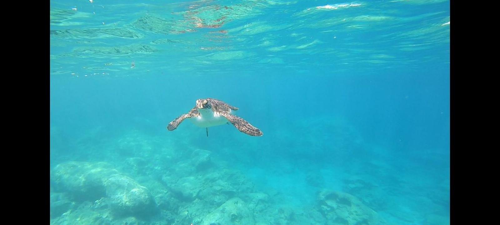 Captainvasilisboatcharters * Ayia Napa