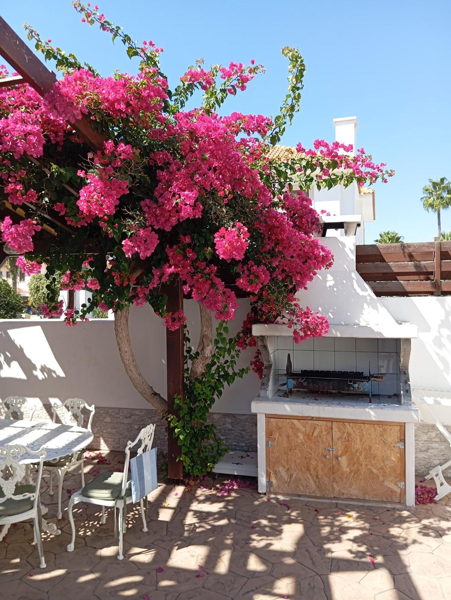 Nissi With Pool And Sea View Agia Napa