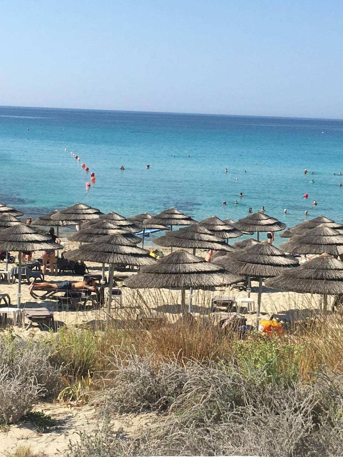 Narcissos 'nissi Beach' C5 * Agia Napa
