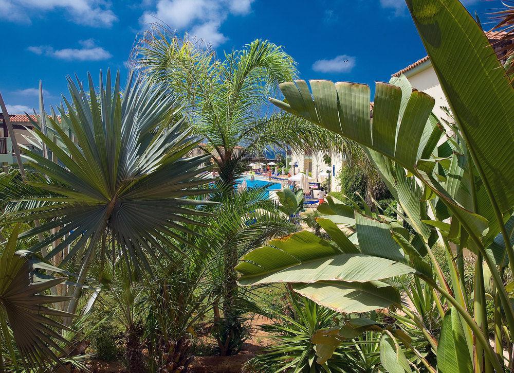 Hotel Atlantis Ayia Napa