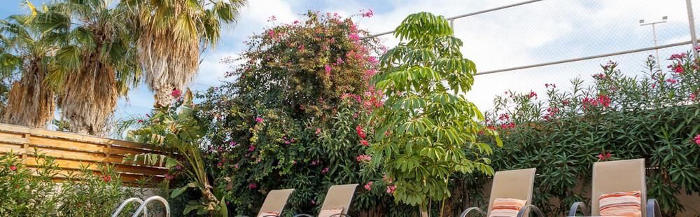 Rent Private 061 Villa