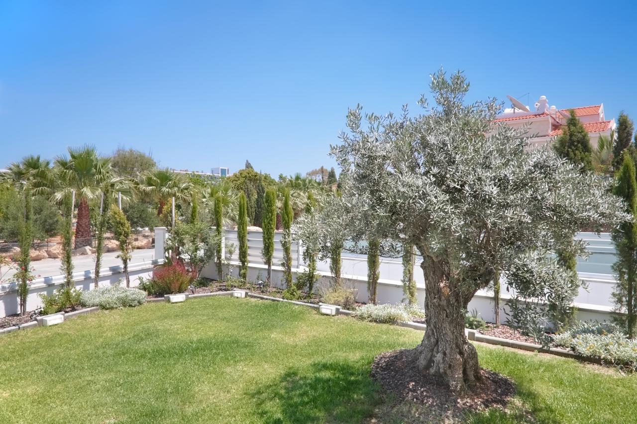 Royal 4 Bedroom Seafront * Ayia Napa