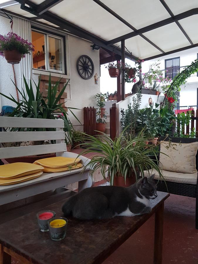 Apartamento Estia Vasilis Manoli *