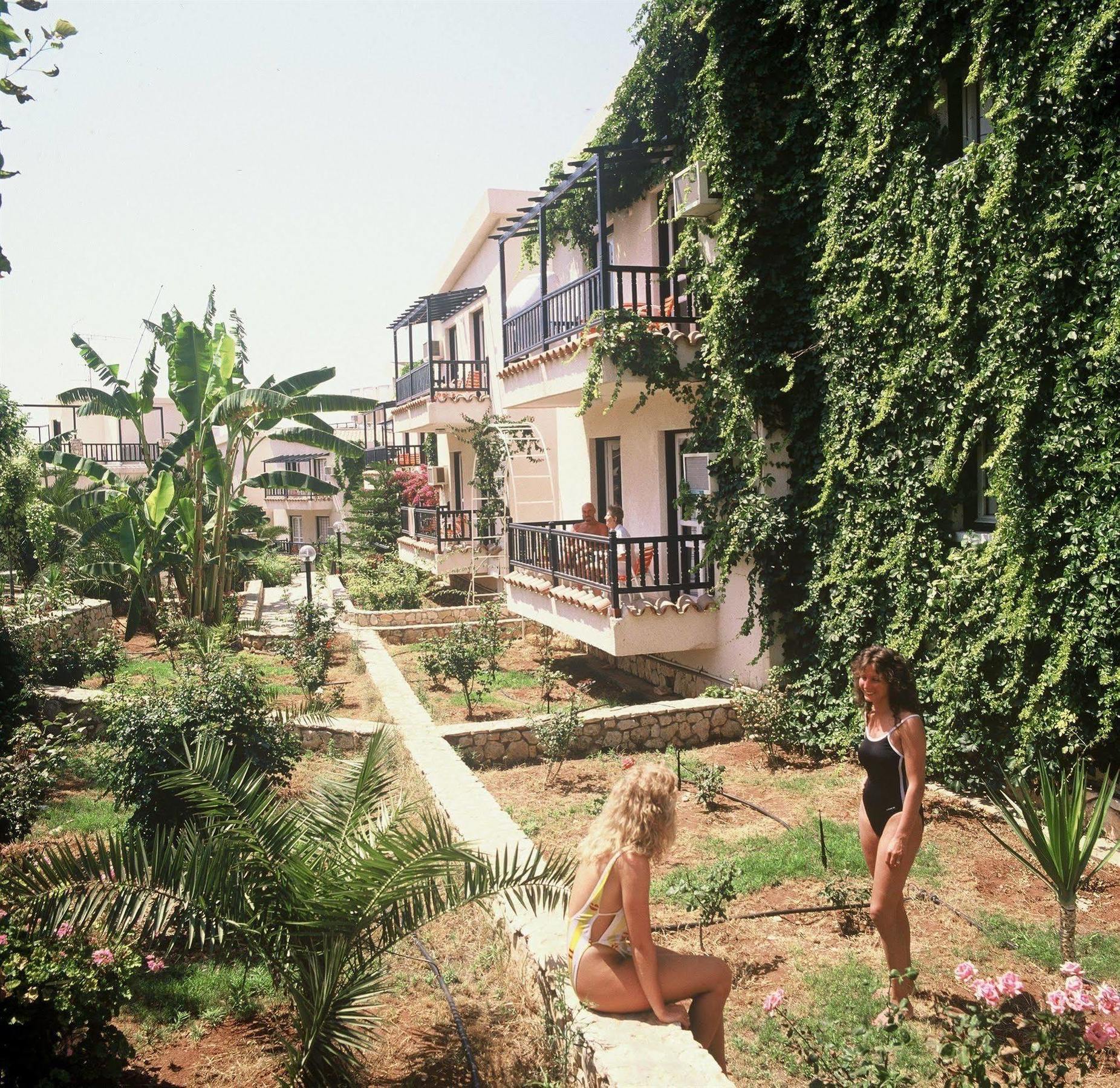 Aparthotel Aphelandra