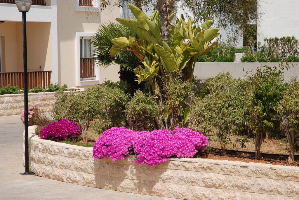 Aktea Village 4* Ayia Napa