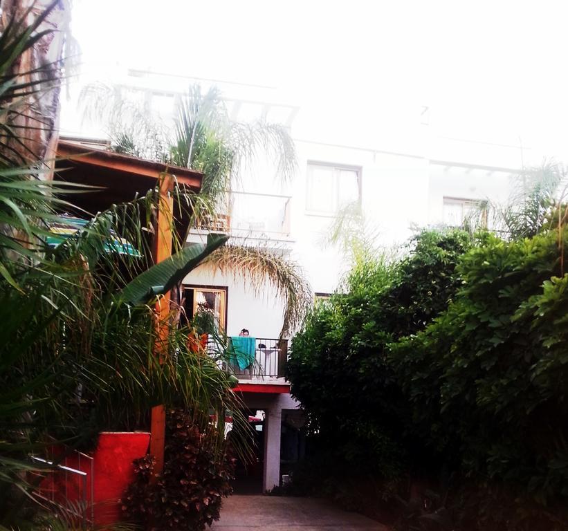 Milounapa * Ayia Napa