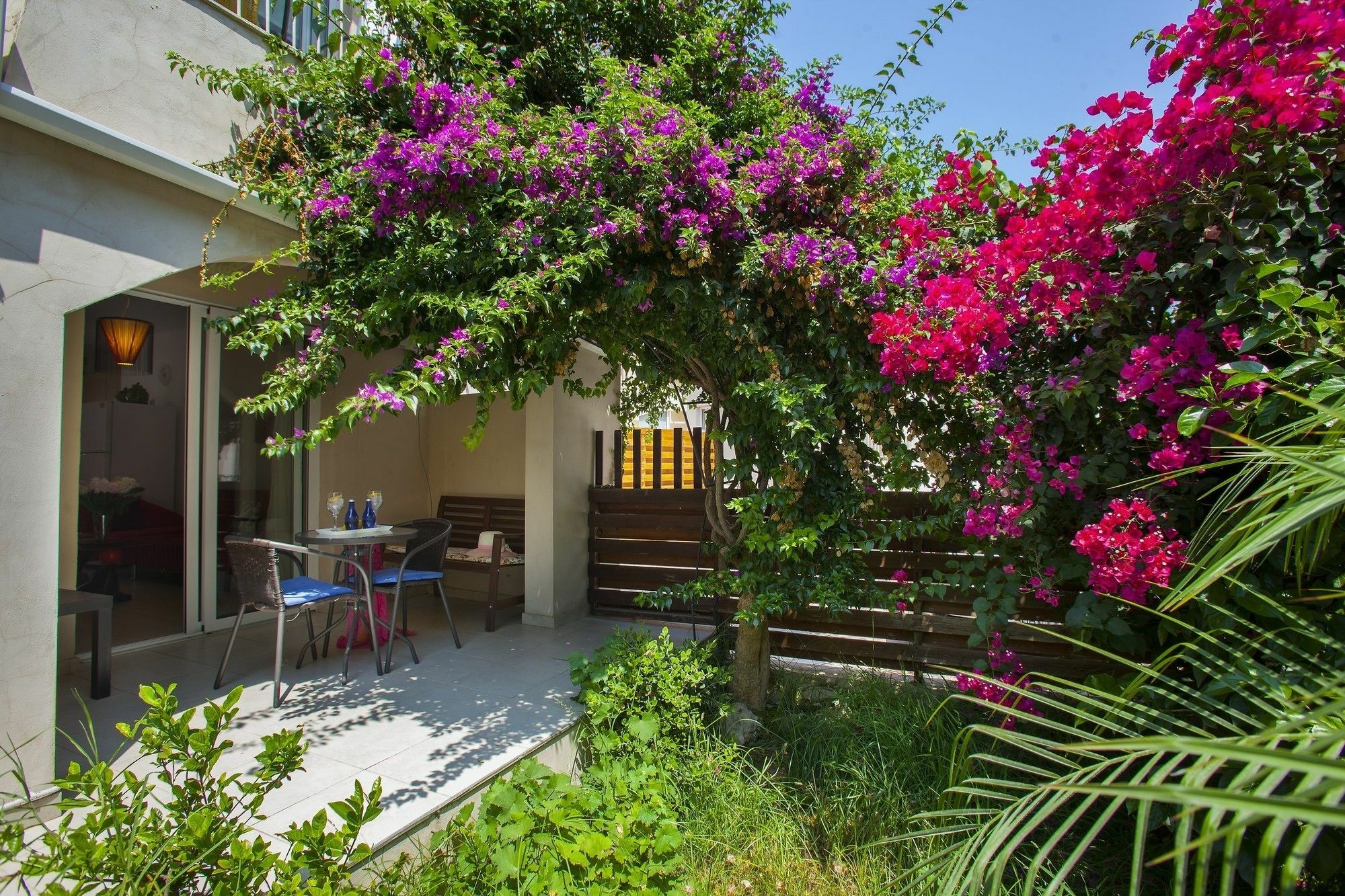 Olimpus