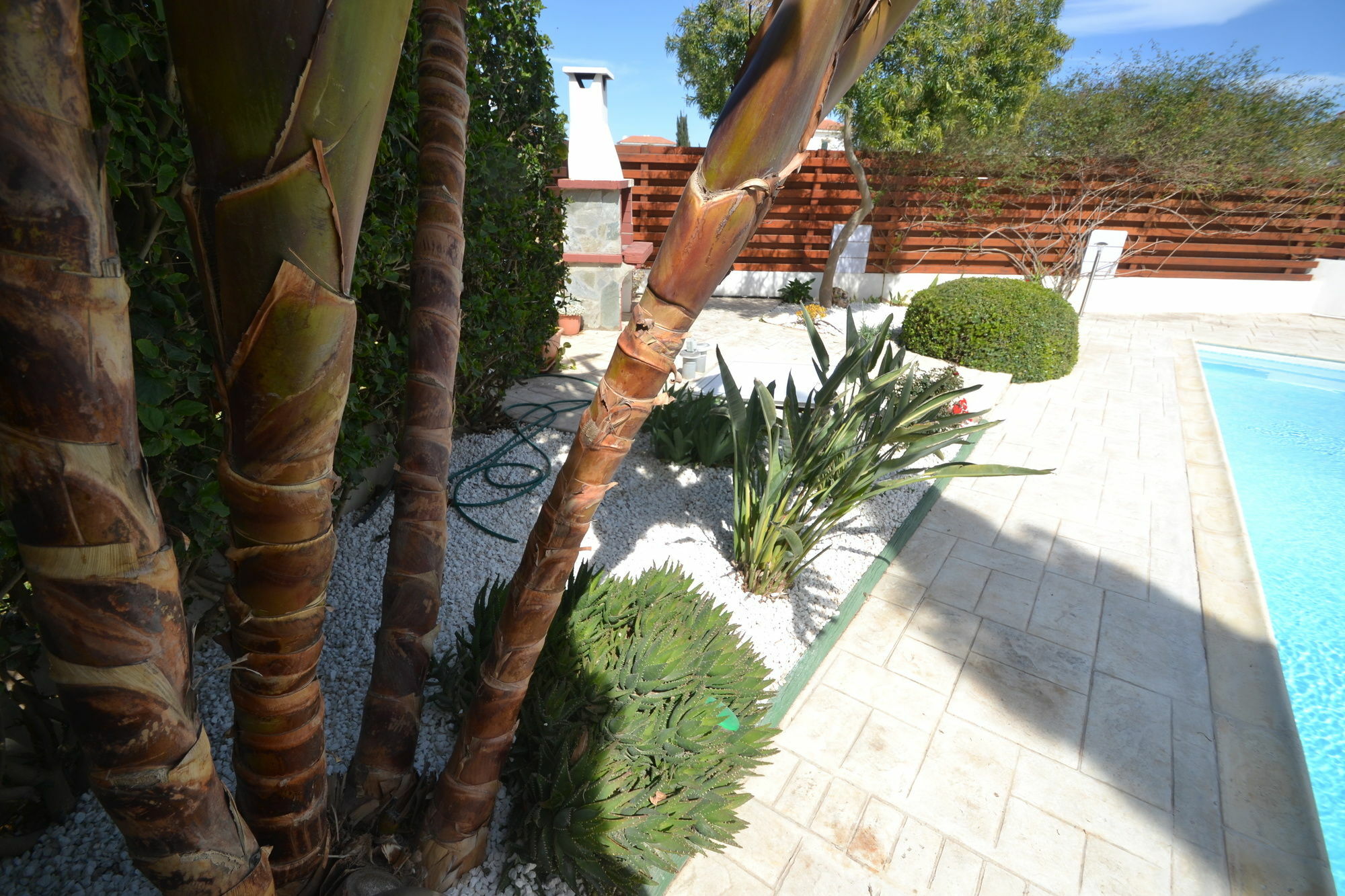 Yolanda Agia Napa