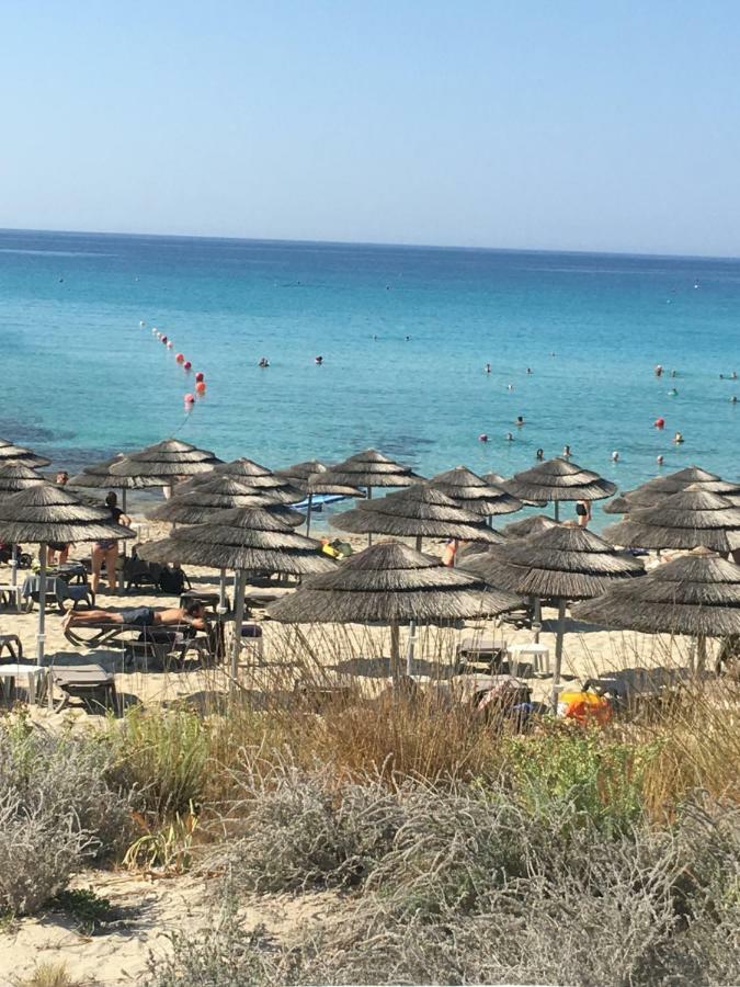 Narcissos 'nissi Beach' C12 Apartamento Agia Napa