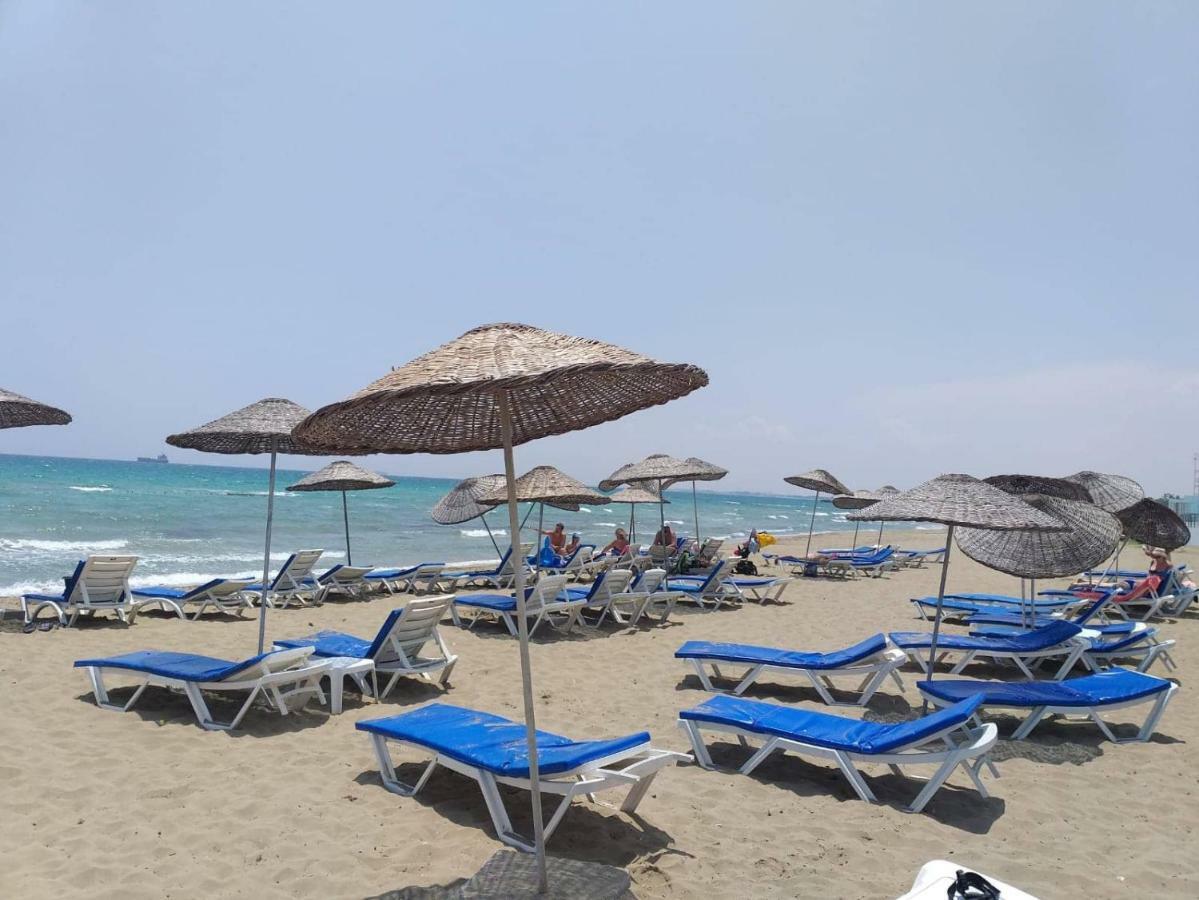Panorama 44 Agya Napa *