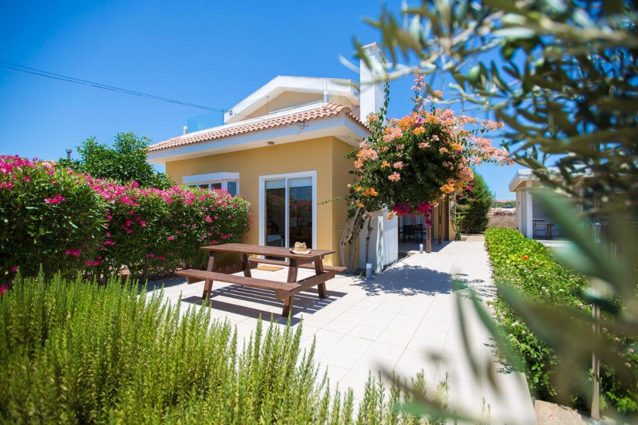 Villa Danae Ayia Napa