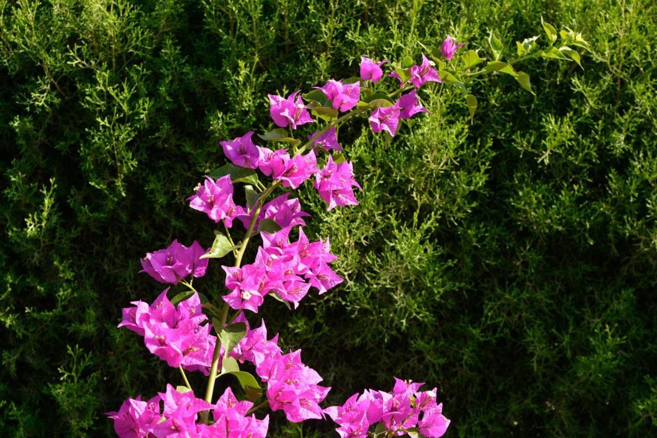 Aparthotel Makronisos Village