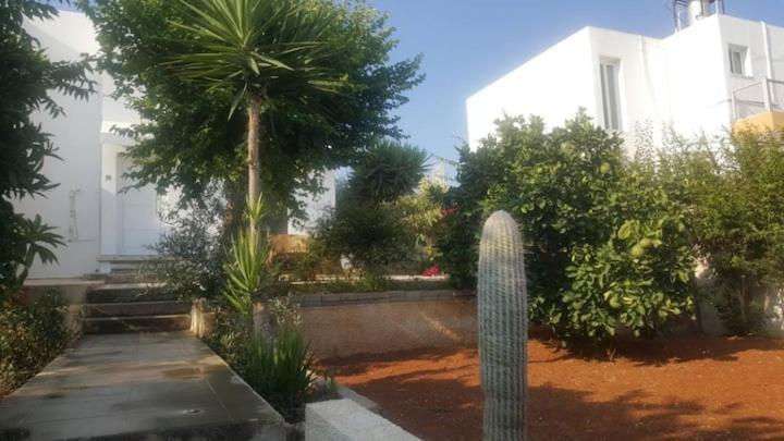 Epistimi 3 Bedroom House * Ayia Napa