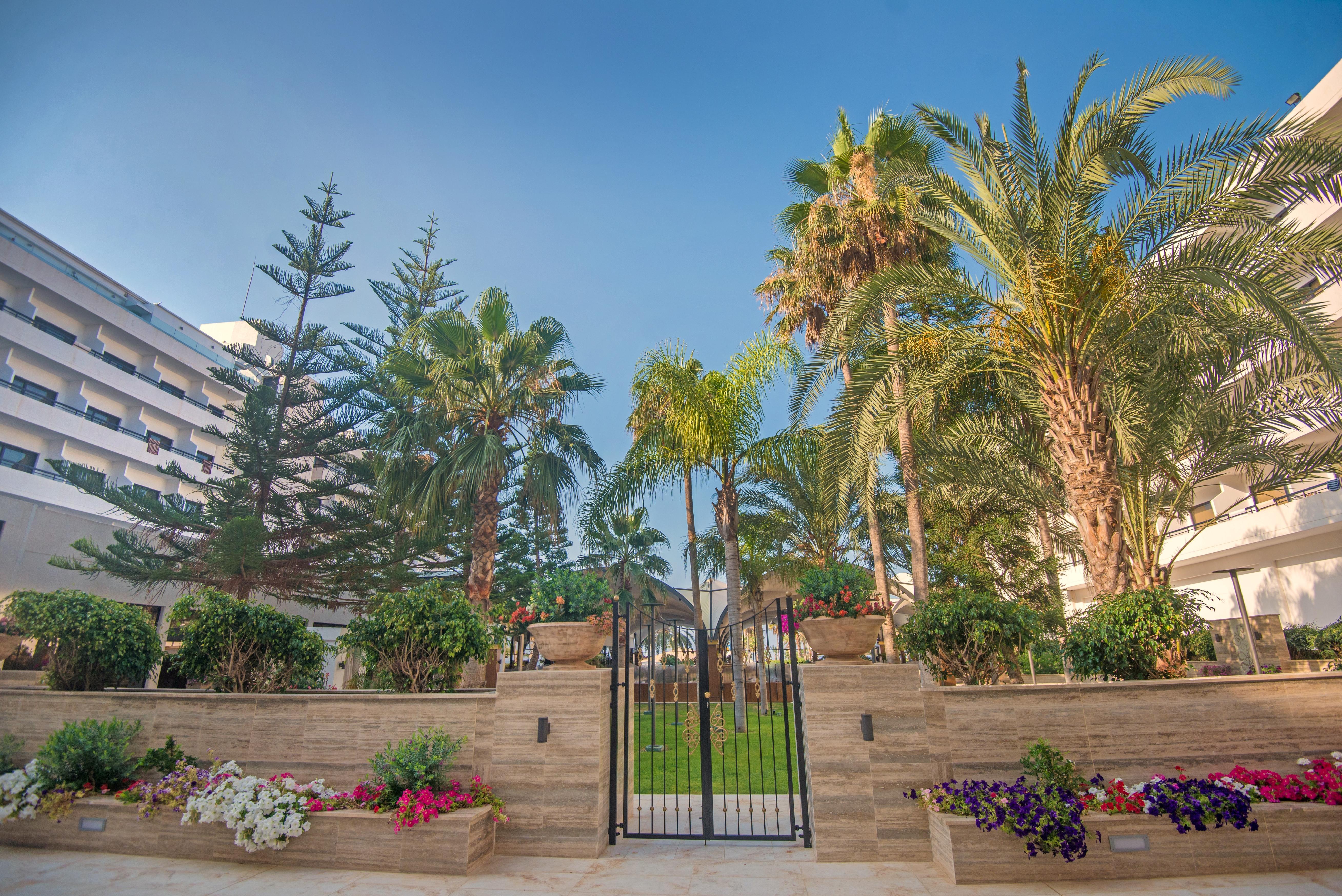 Adams & (adults Only) 5* Ayia Napa
