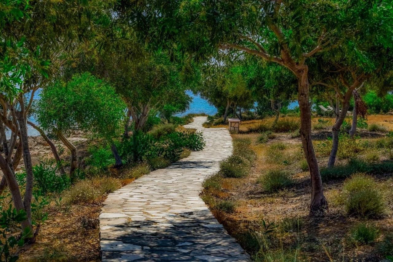 Hotel Chrysomare & Agia Napa