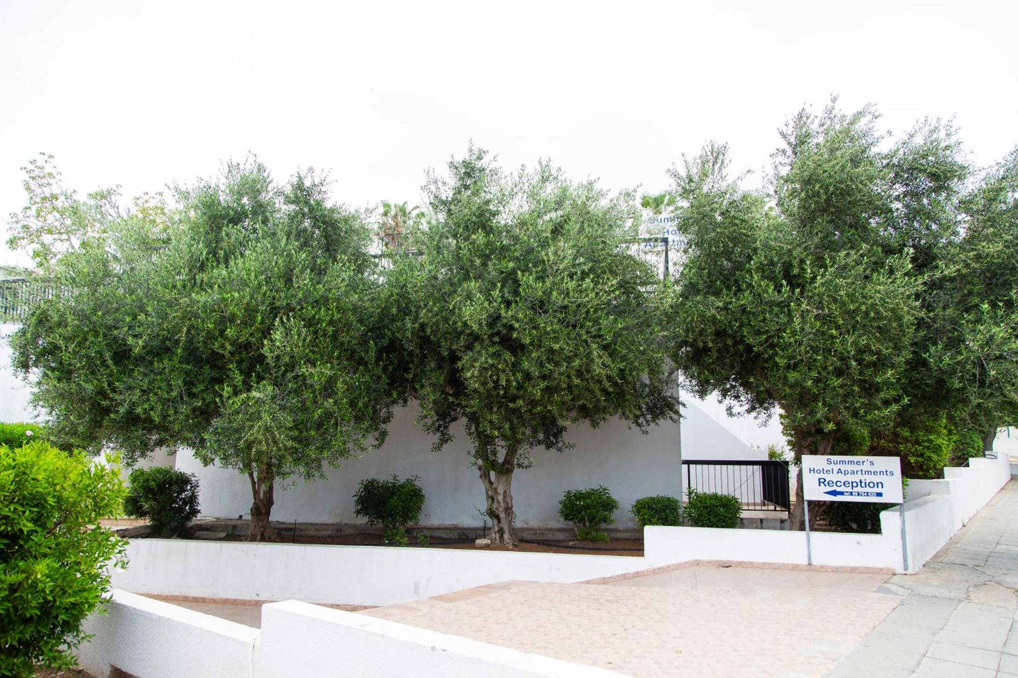 Summer's Aparthotel 2*