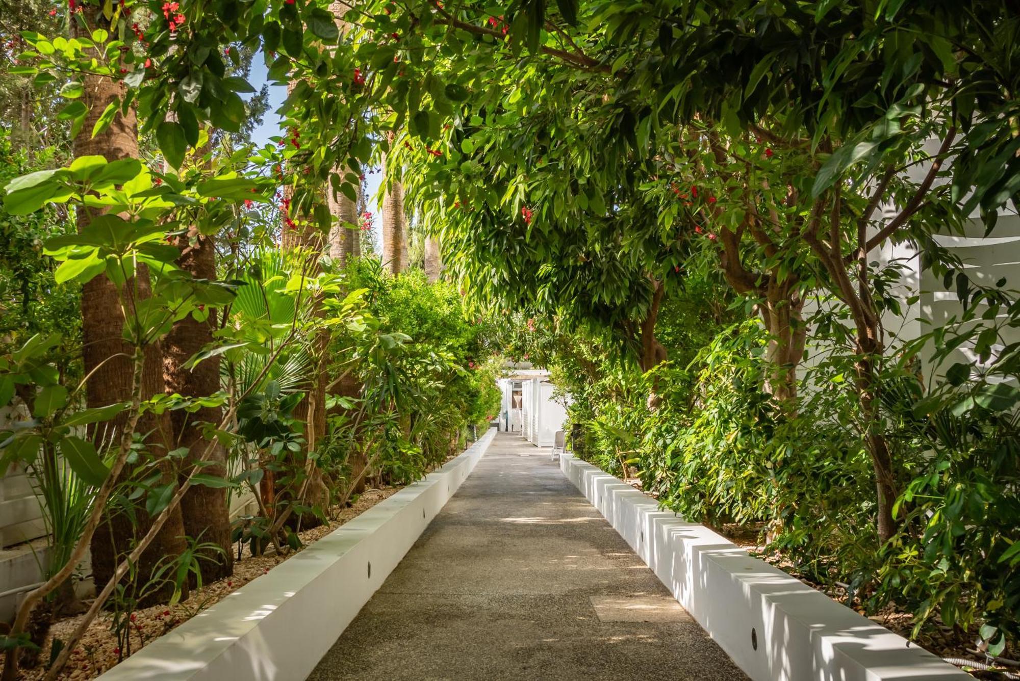 Margadina Hotel Agia Napa