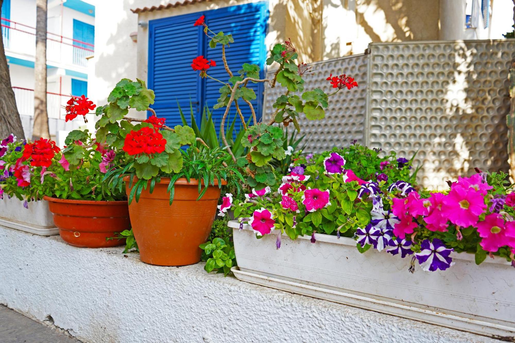 Green Bungalows Hotel Apartments Aparthotel 3*