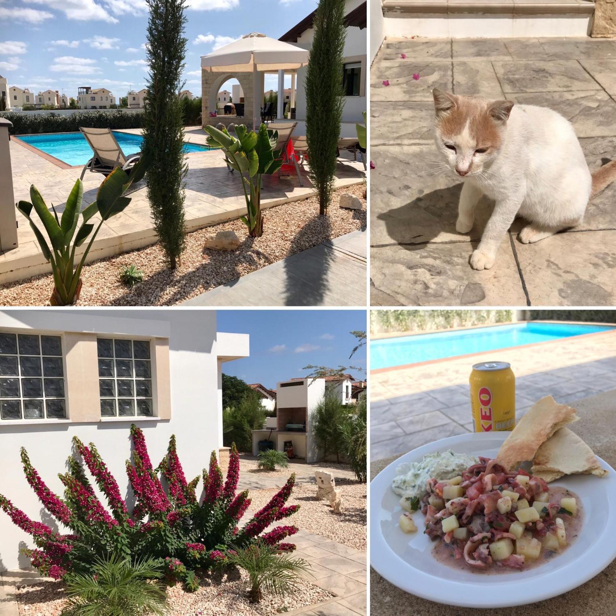 Potamos - Kymma 4 *