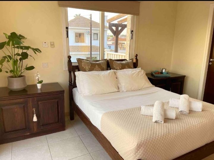 Nissi With Pool And Sea View Villa
