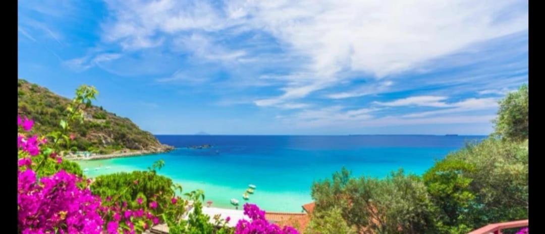 Nissi With Pool And Sea View Villa