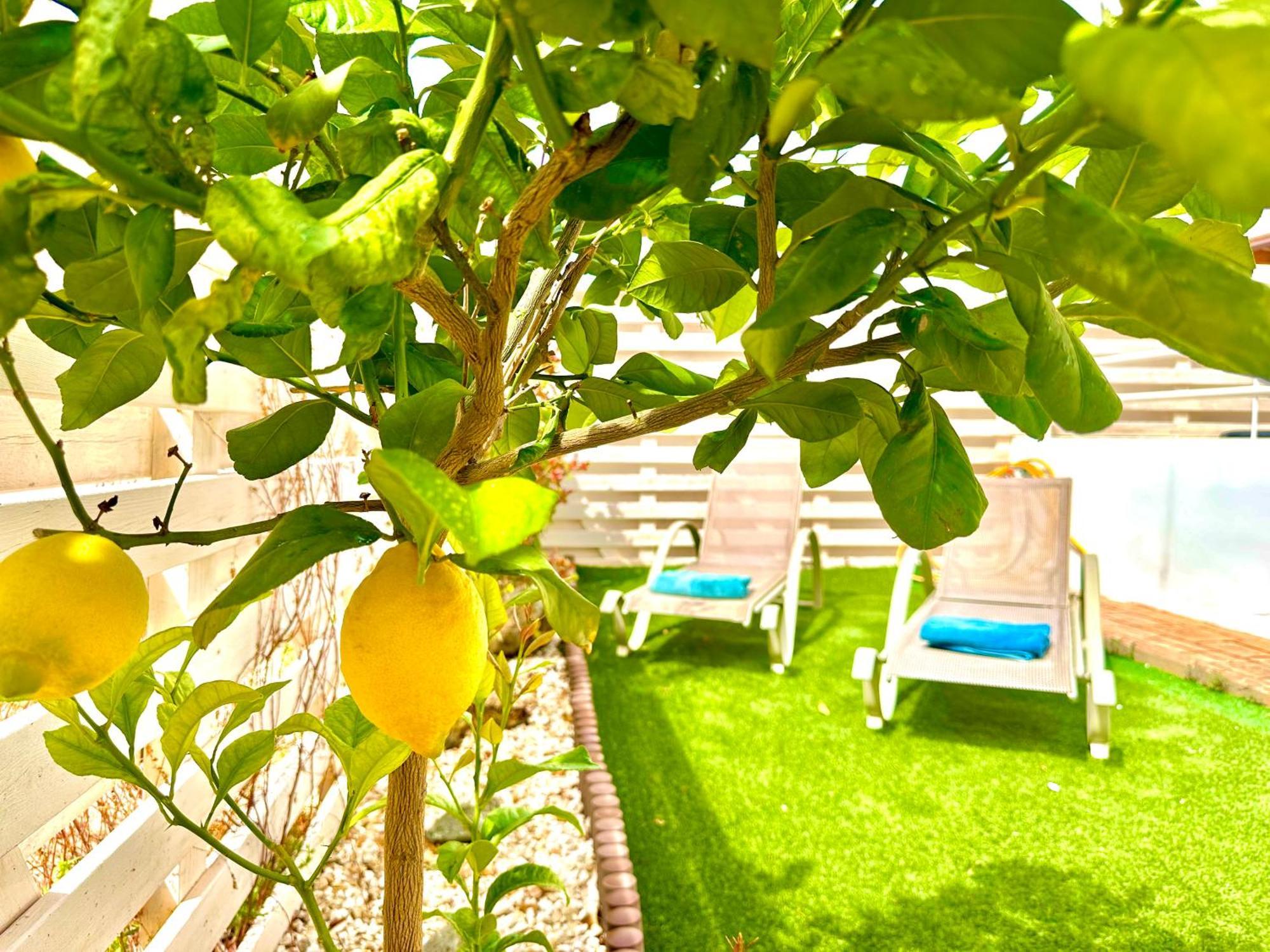 Nissi Escape - 5 Min Walk To Paradise * Agia Napa